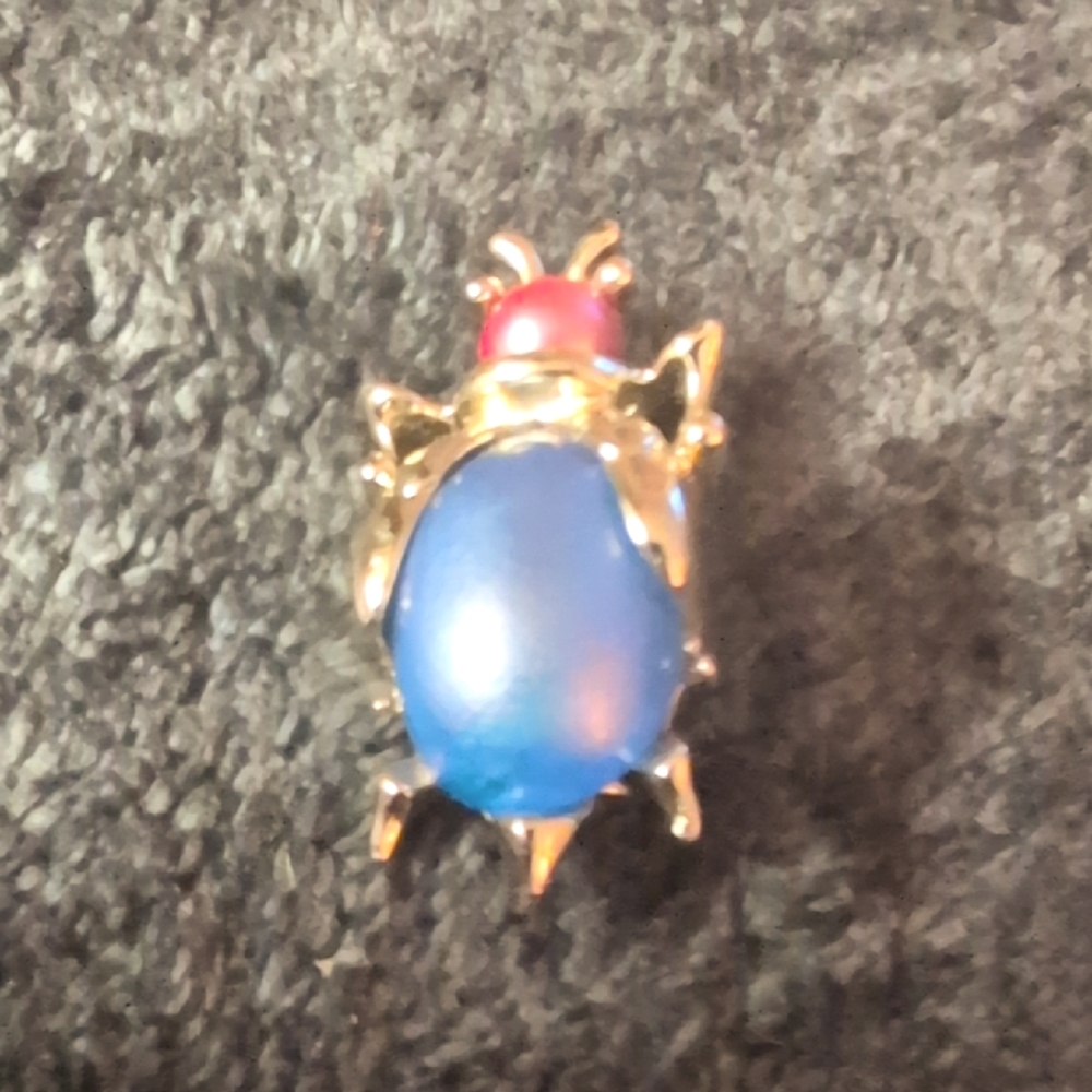 Jelly Belly Bug Brooch
